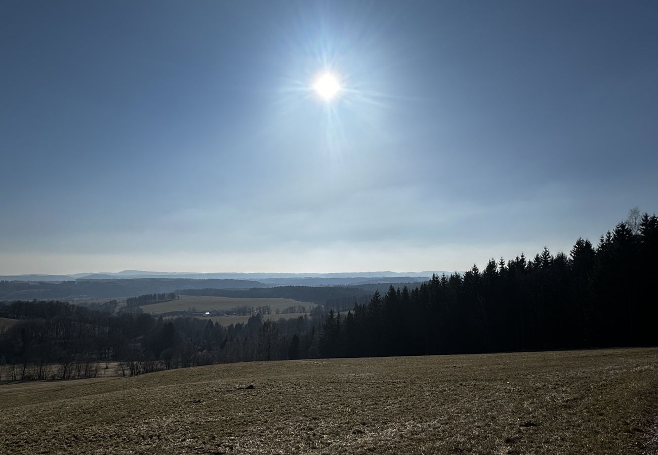 Villa in Mladé Buky - Villa mit Pool,  Skigebiete KJH348