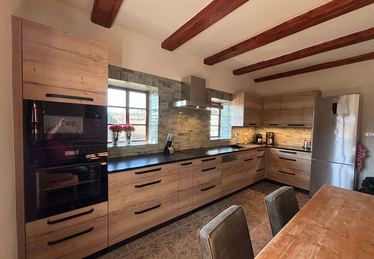 Villa in Vidochov - Villa+Pool, Stupna KSS180