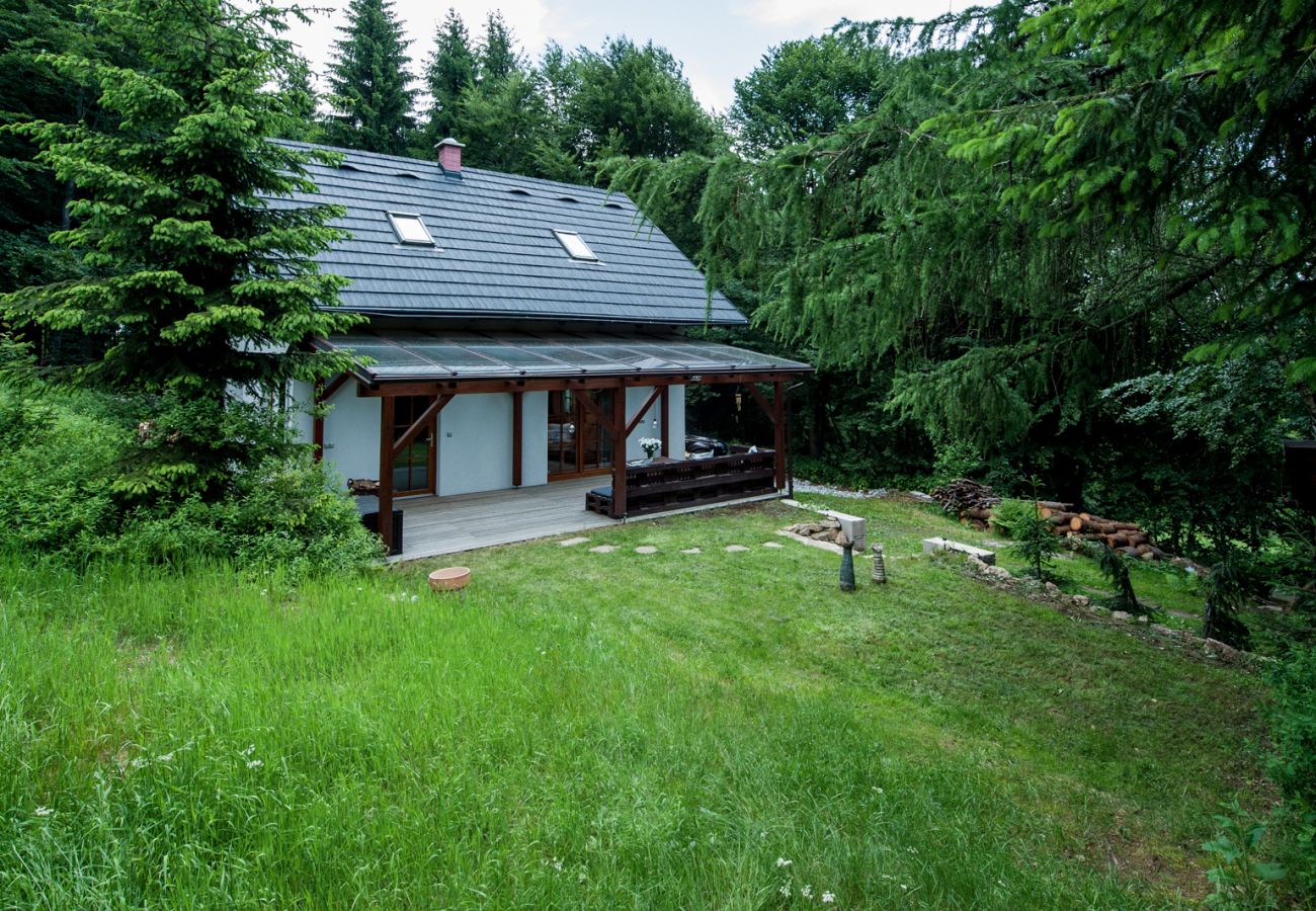 Villa in Klíny - Klíny UKN510