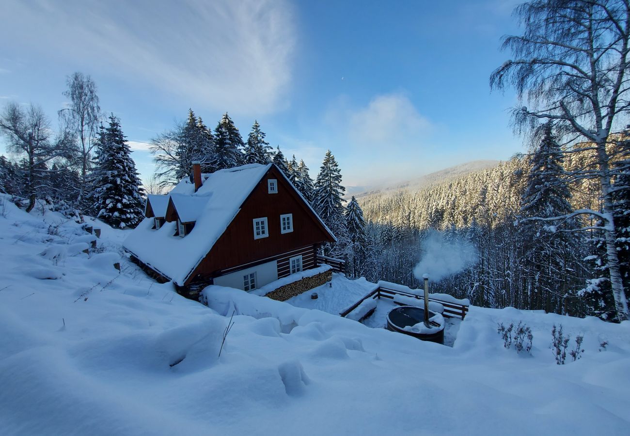 Villa in Rokytnice nad Jizerou - Rokytnice KRM450