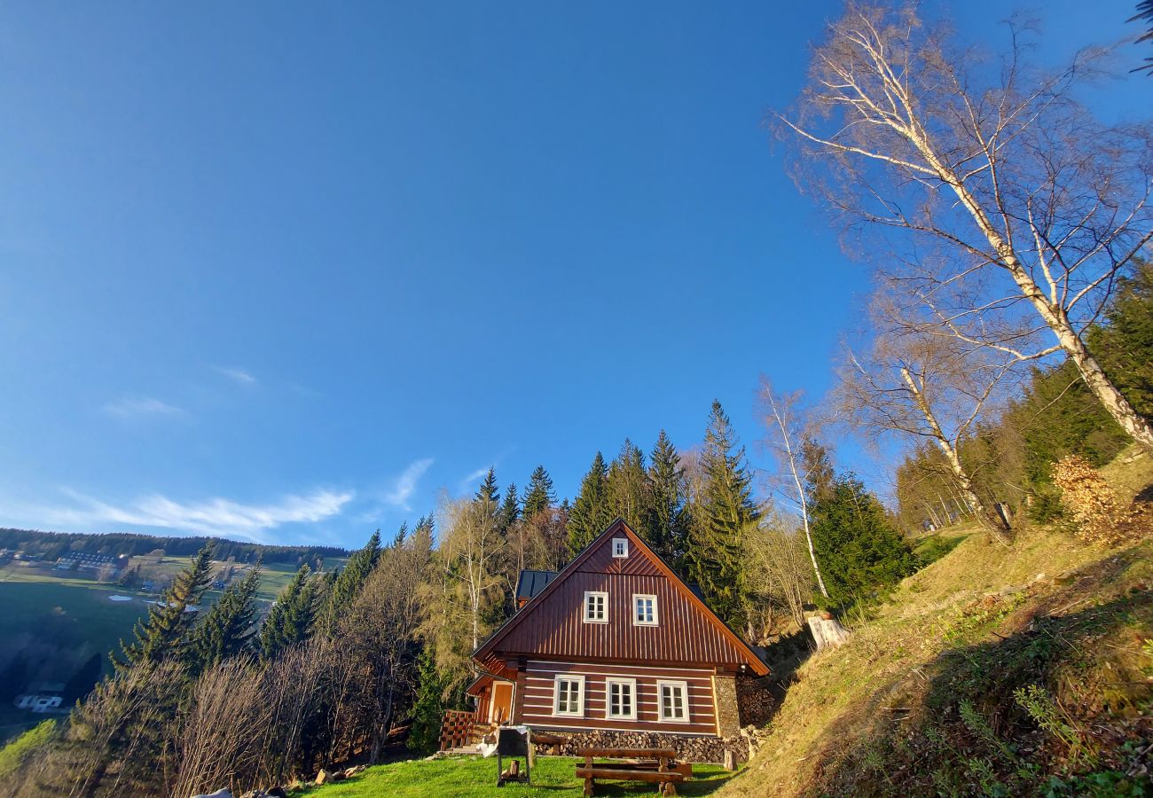 Villa in Rokytnice nad Jizerou - Rokytnice KRM450