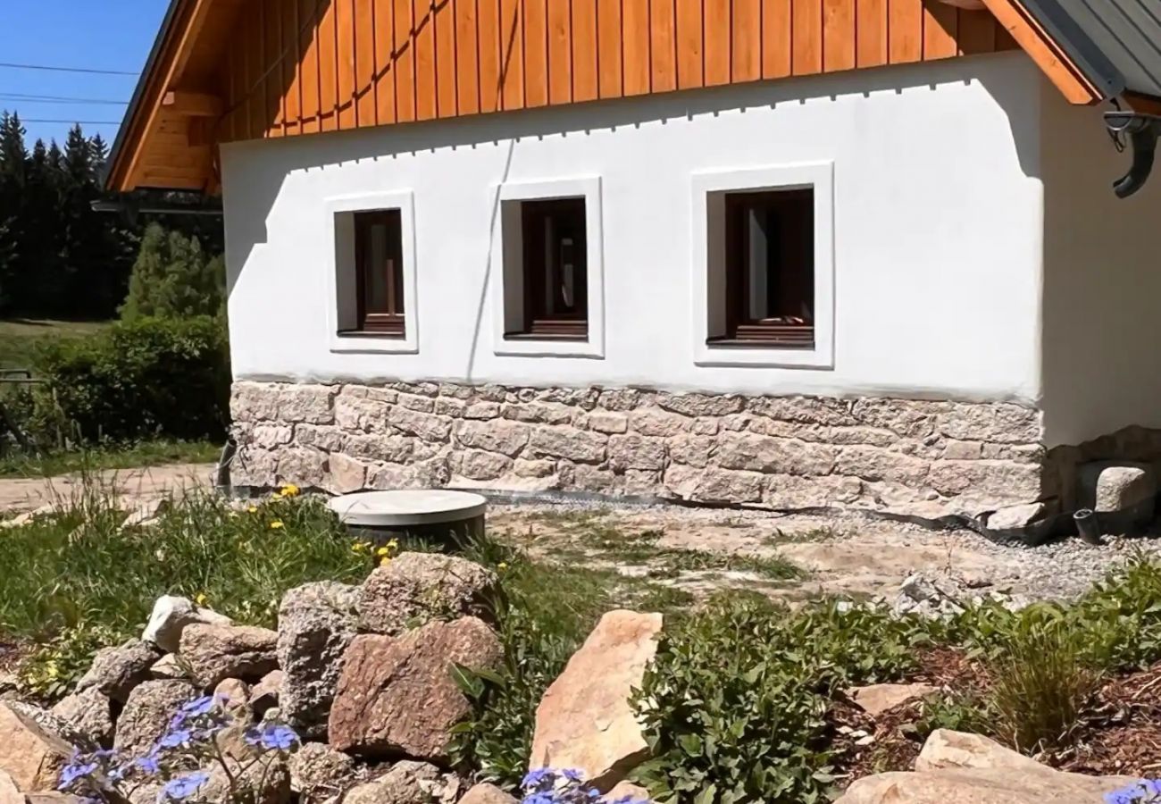 Villa in Lucany nad Nisou - Lucany nad Nisou - LLA560