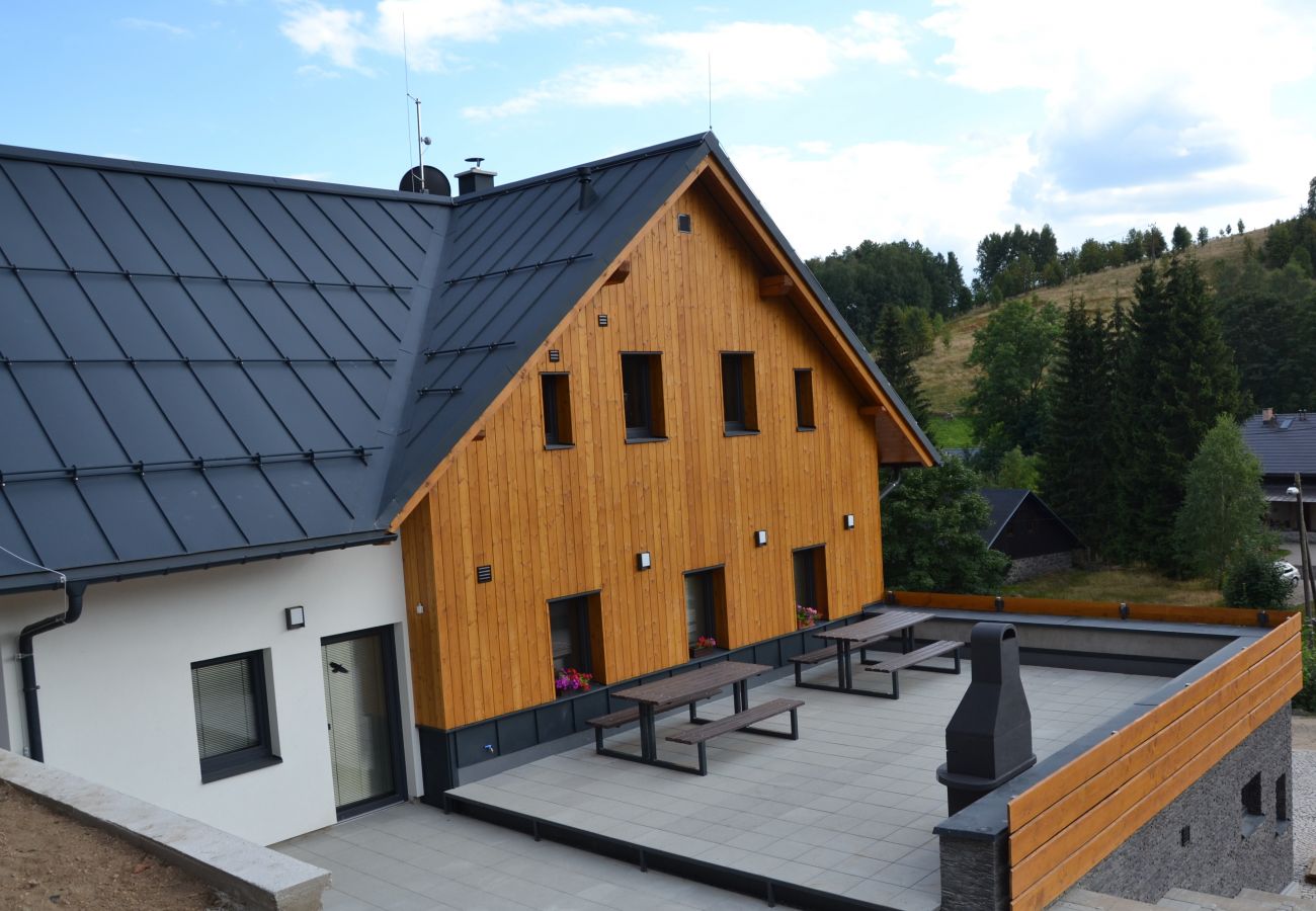 Villa in Bedrichov - Mountain Chalet LBH027