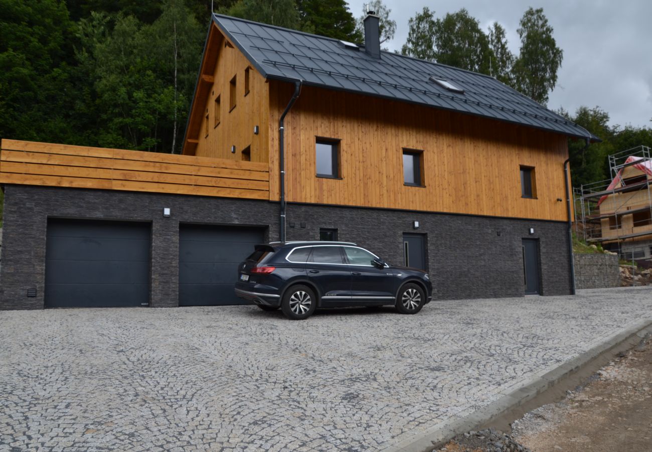 Villa in Bedrichov - Mountain Chalet LBH027