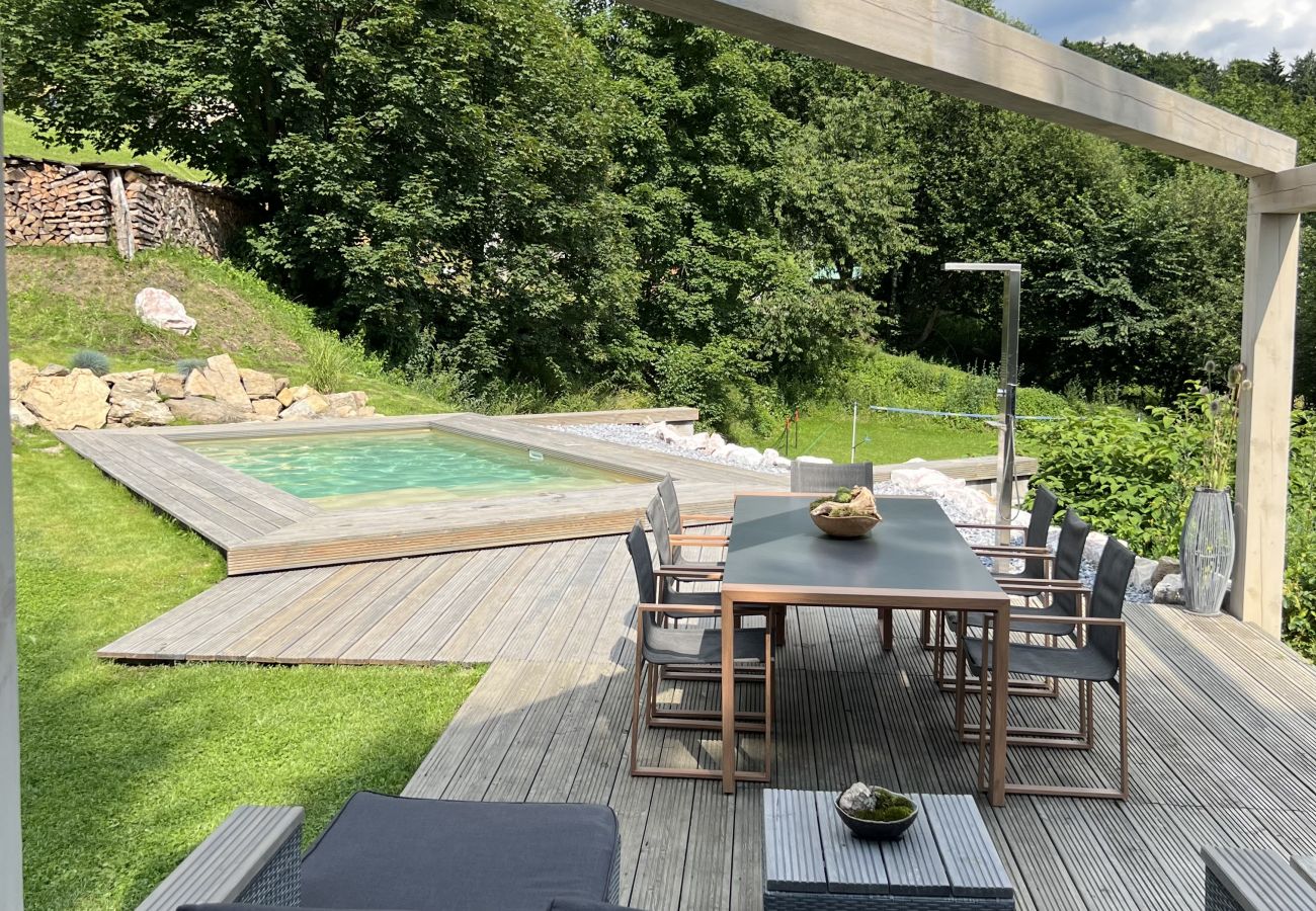 Villa in Tanvald - Tanvald LSH141