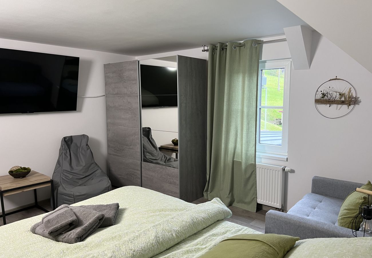 Villa in Tanvald - Tanvald LSH141