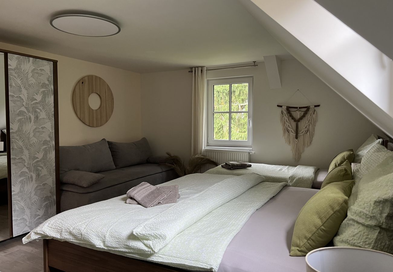 Villa in Tanvald - Tanvald LSH141