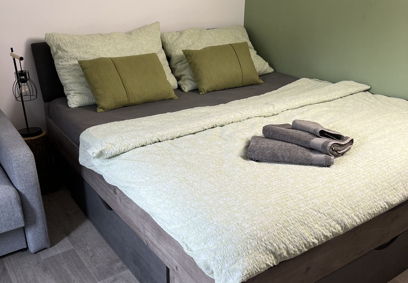 Villa in Tanvald - Tanvald LSH141