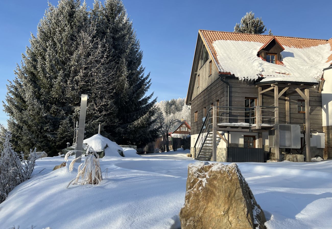 Villa in Tanvald - Tanvald LSH141