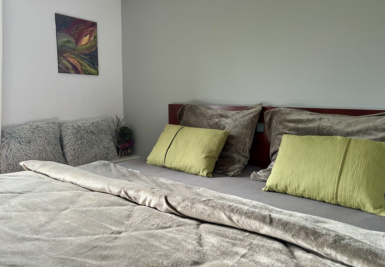 Villa in Tanvald - Tanvald LSH141