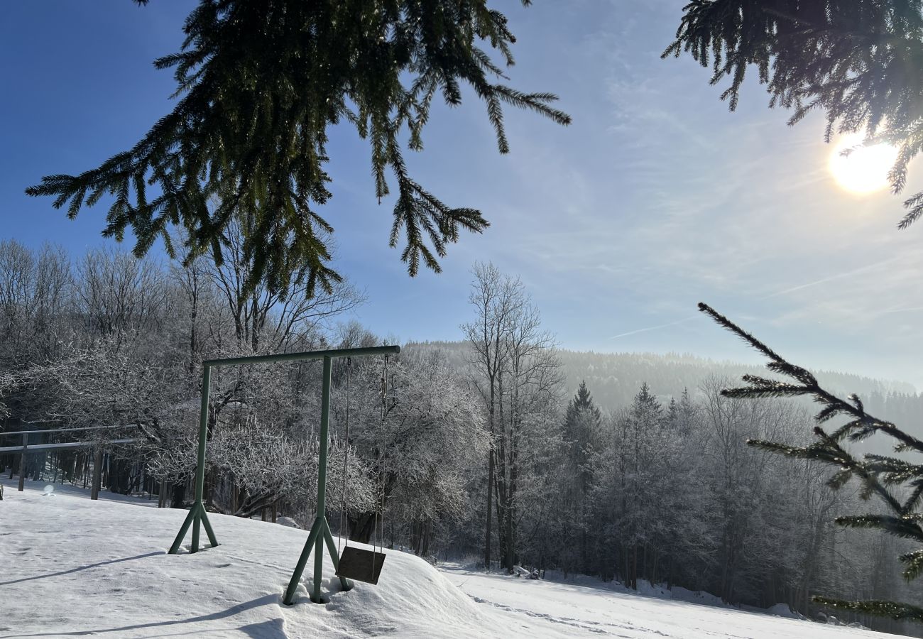 Villa in Tanvald - Tanvald LSH141