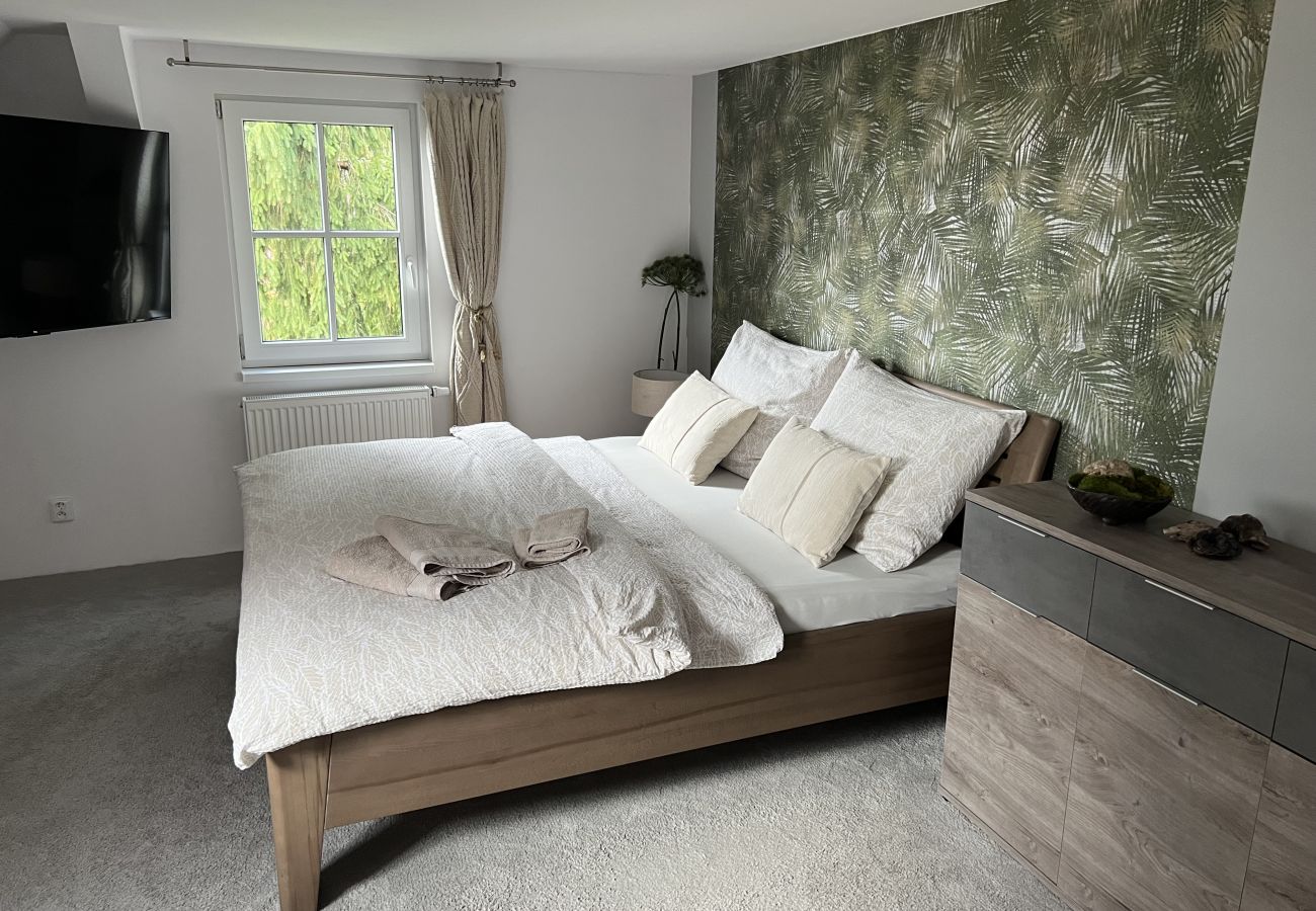 Villa in Tanvald - Tanvald LSH141