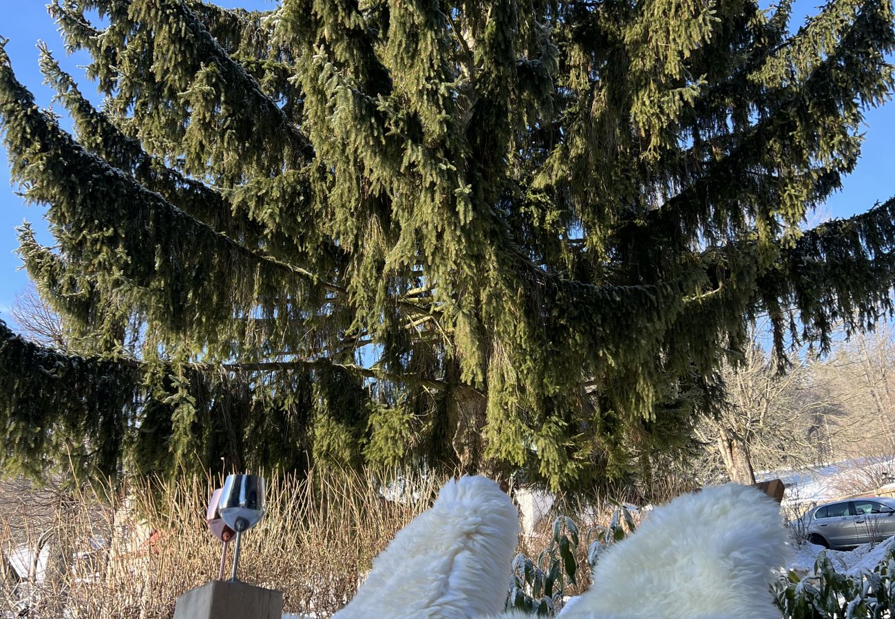 Villa in Tanvald - Tanvald LSH141