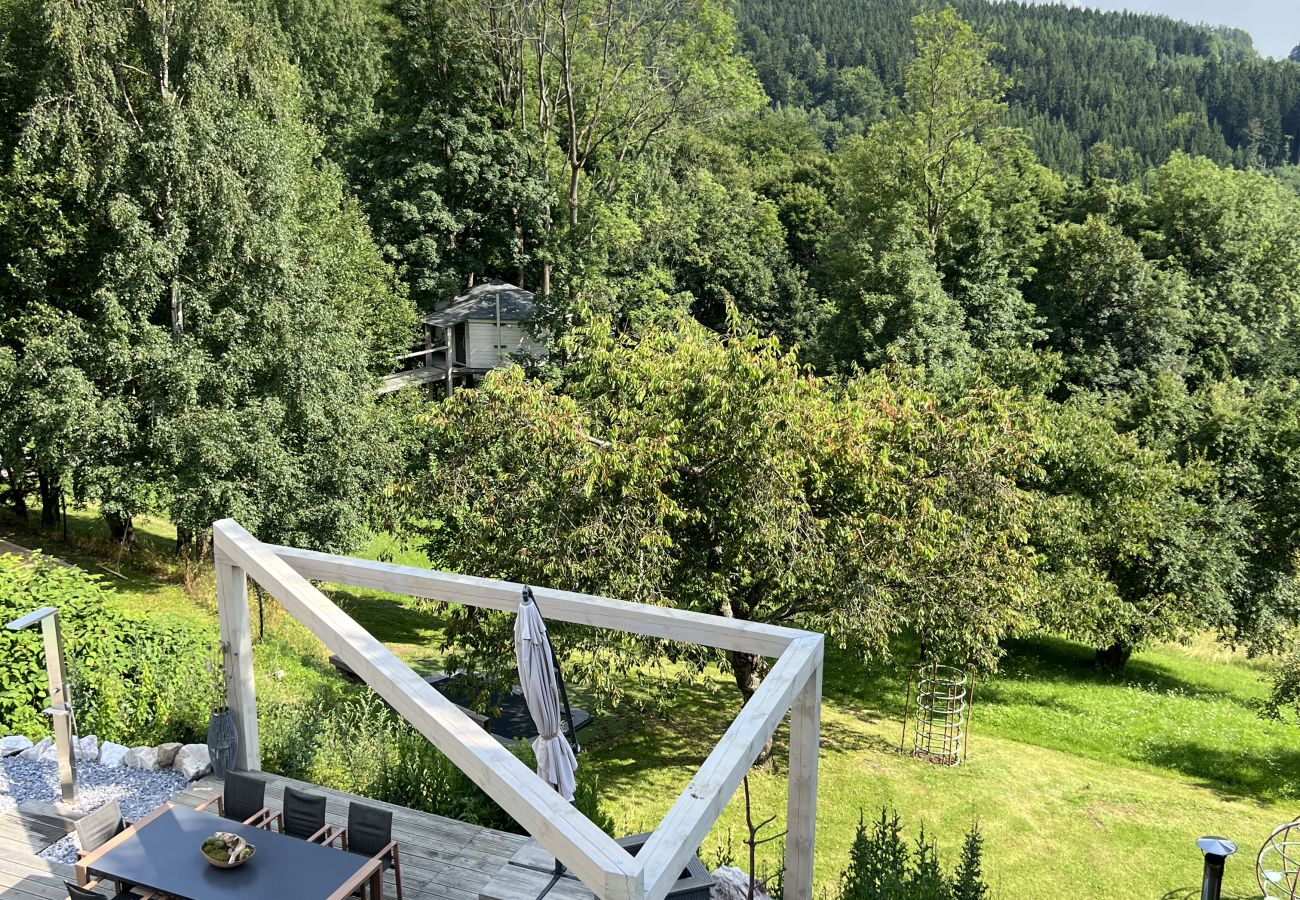 Villa in Tanvald - Tanvald LSH141