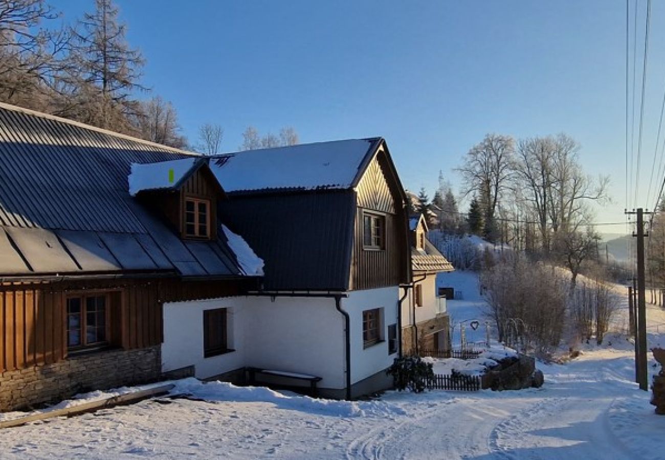 Apartment in Vysoké nad Jizerou - Vysoke nad Jizerou KDS007