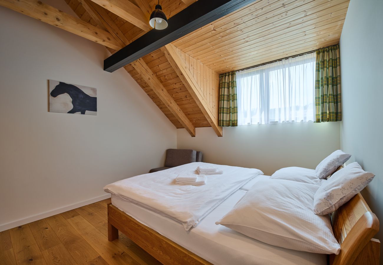 Apartment in Cerný Dul - Cerny Dul KCB045-B1