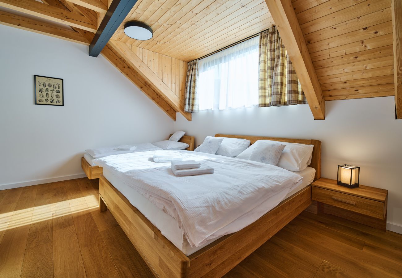 Apartment in Cerný Dul - Cerny Dul KCB045-B2