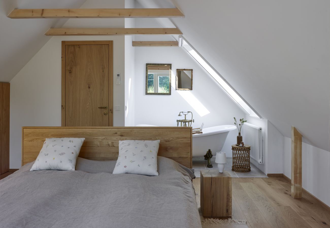 Villa in Knežmost - Knezmost SKS170