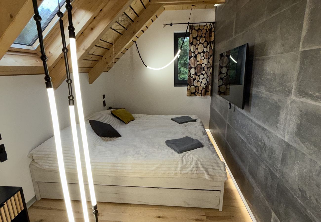 Villa in Jiretín pod Bukovou - LJJ060