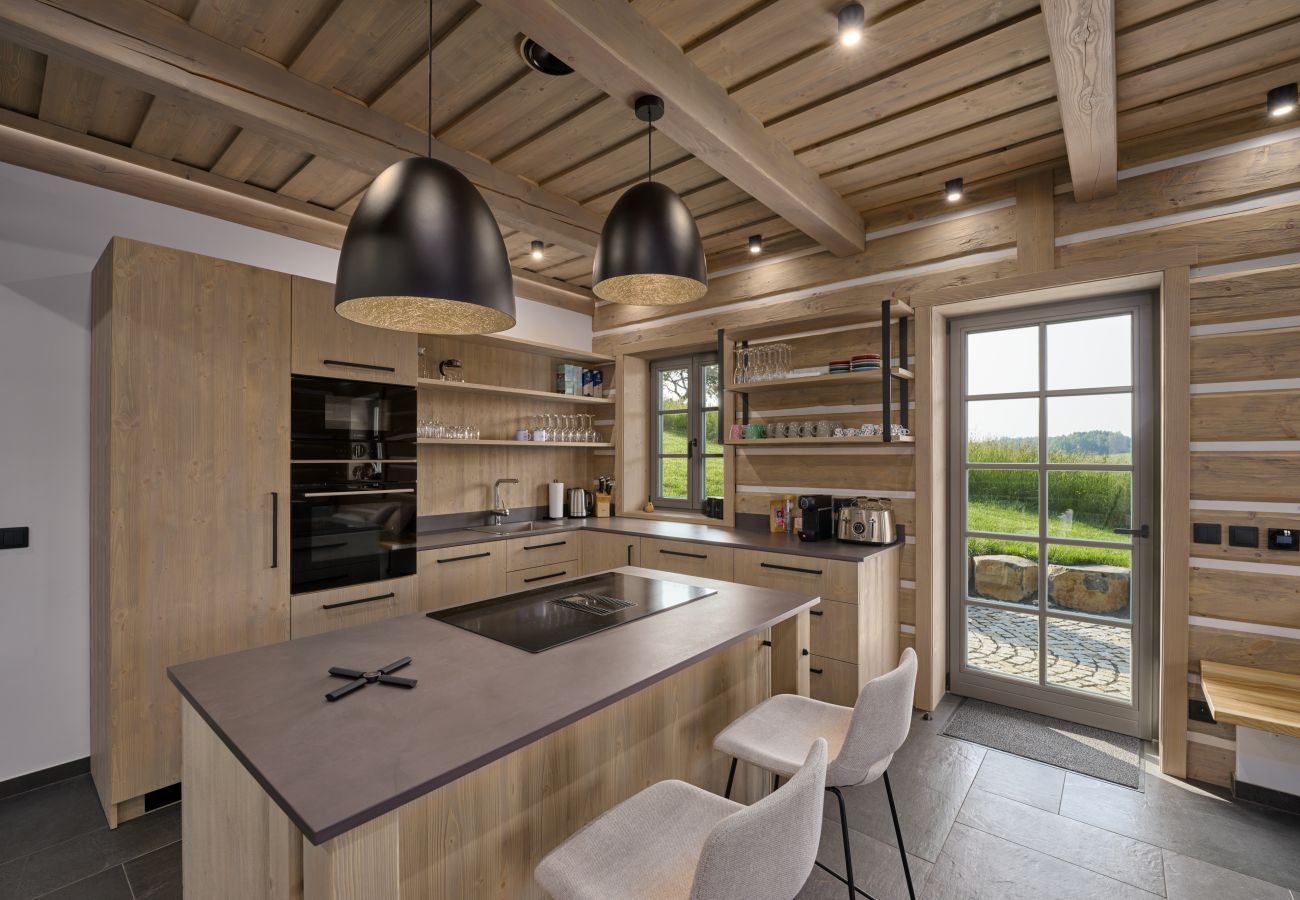 Villa in Roprachtice - Villa Semily LRBDV162