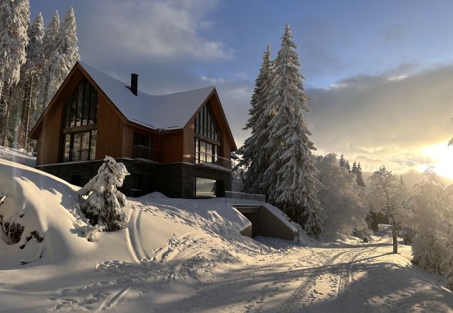 Villa/Dettached house in Vítkovice - Vitkovice LHM015