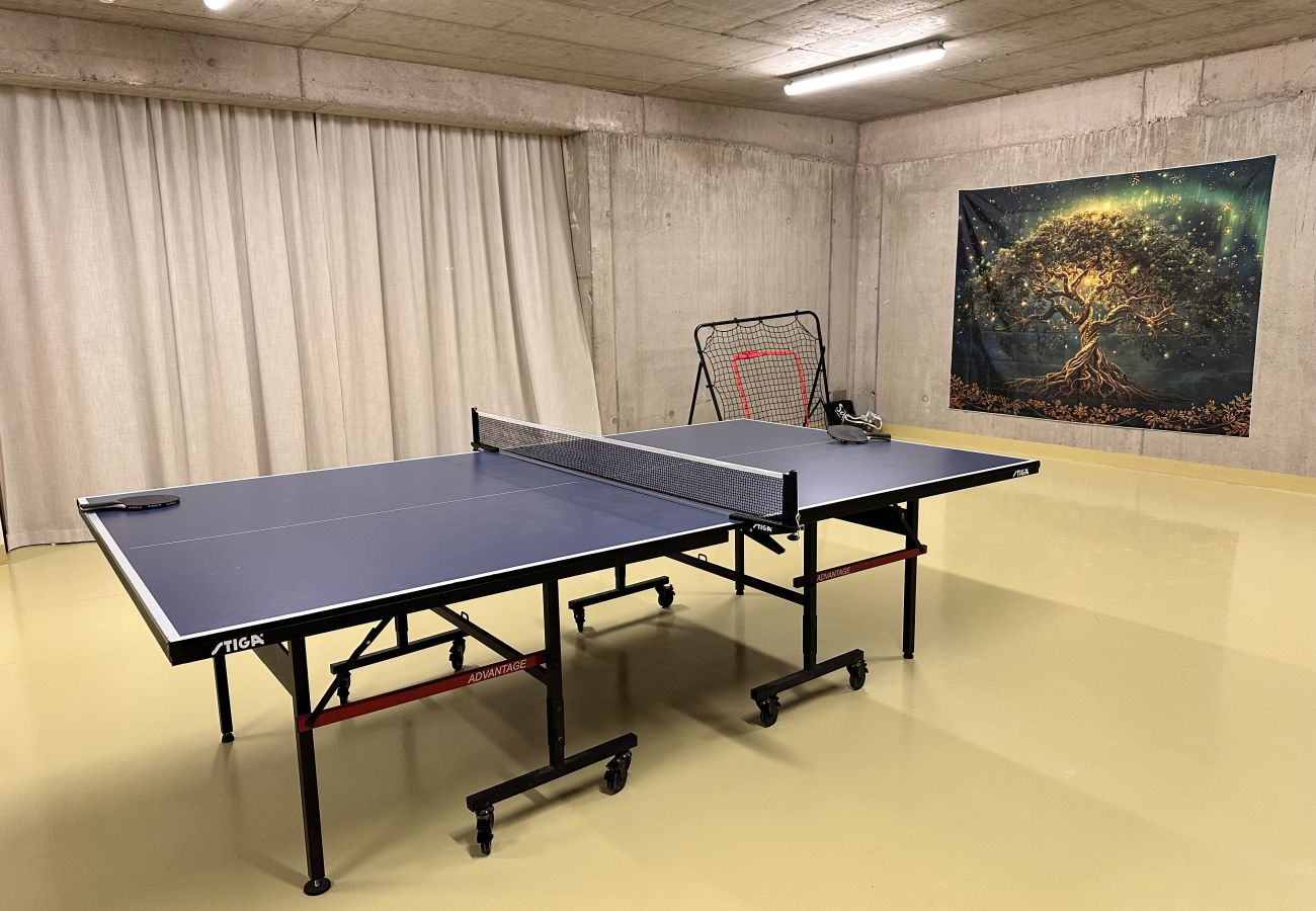 Villa in Vítkovice - Vitkovice LHM015