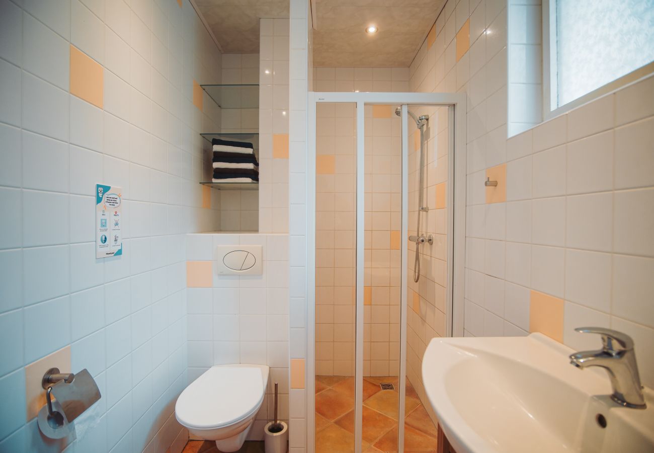 Villa in Staré Hobzí - SJL163 Jindřichův Hradec