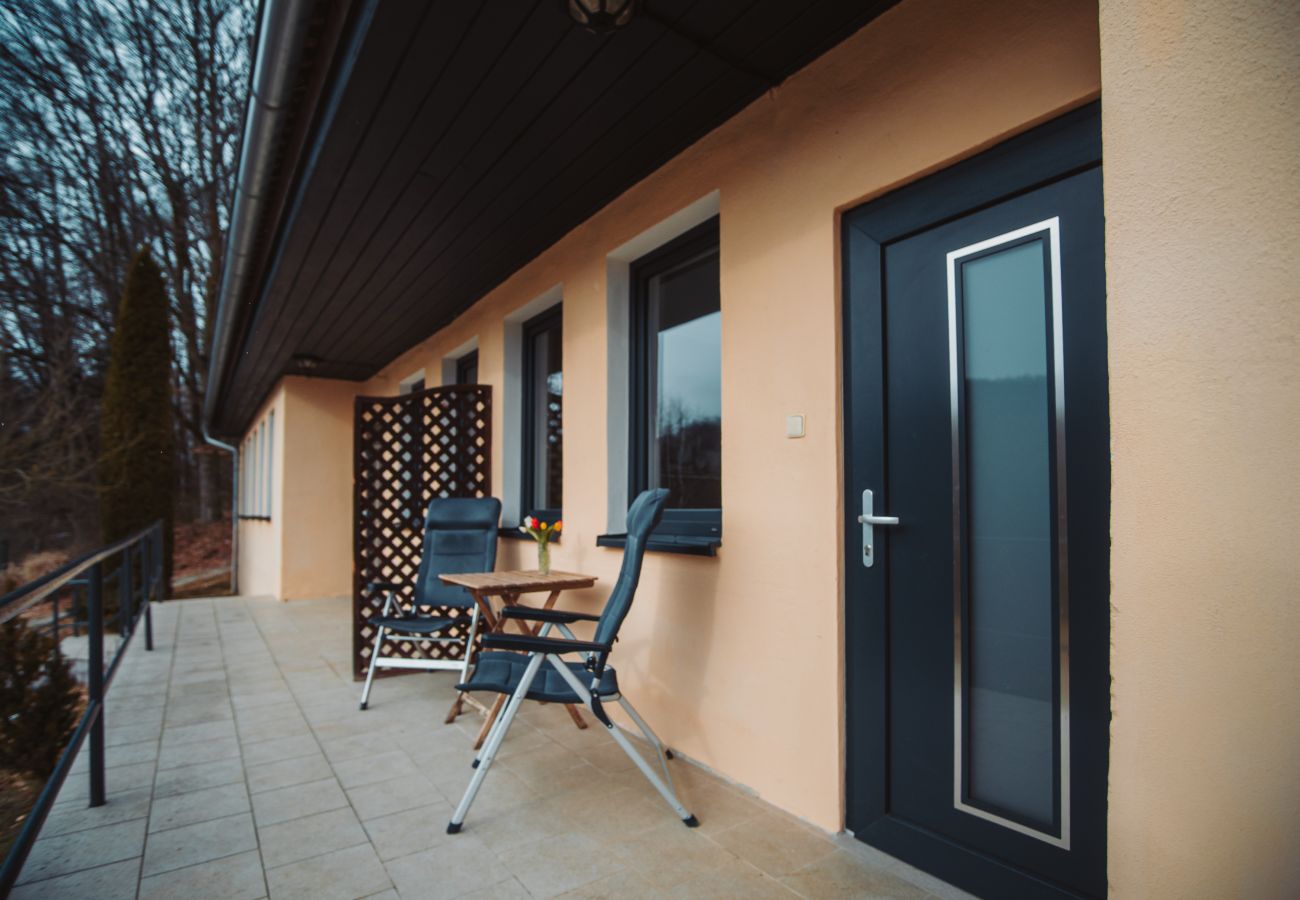 Villa in Staré Hobzí - SJL163 Jindřichův Hradec