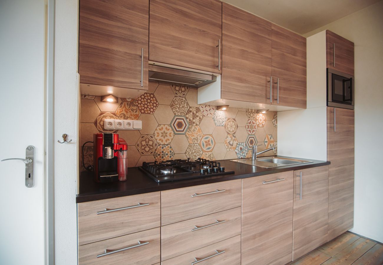 Villa in Staré Hobzí - SJL163 Jindřichův Hradec