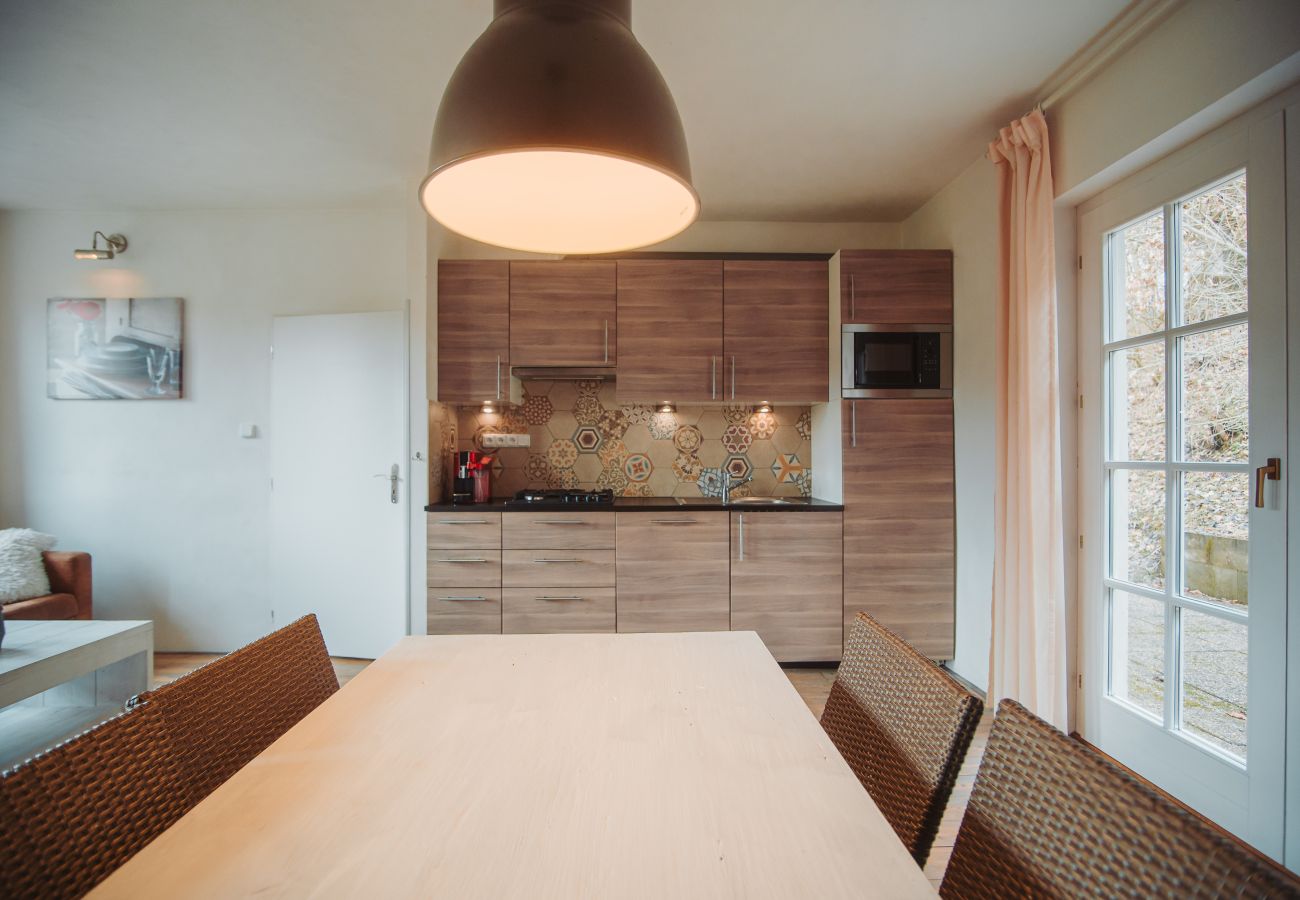 Villa in Staré Hobzí - SJL163 Jindřichův Hradec