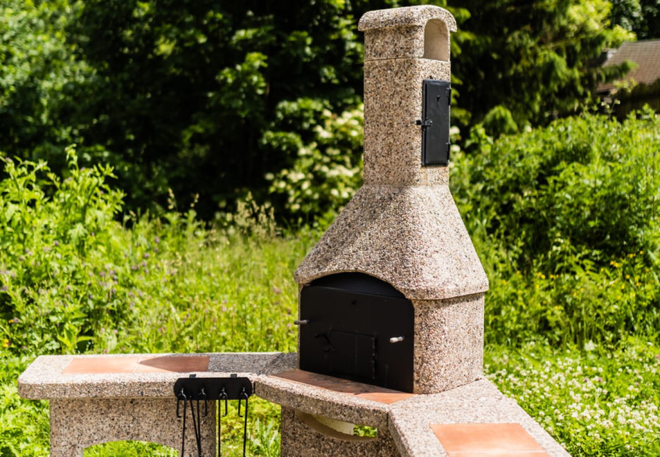 Villa in Branná - MBK171