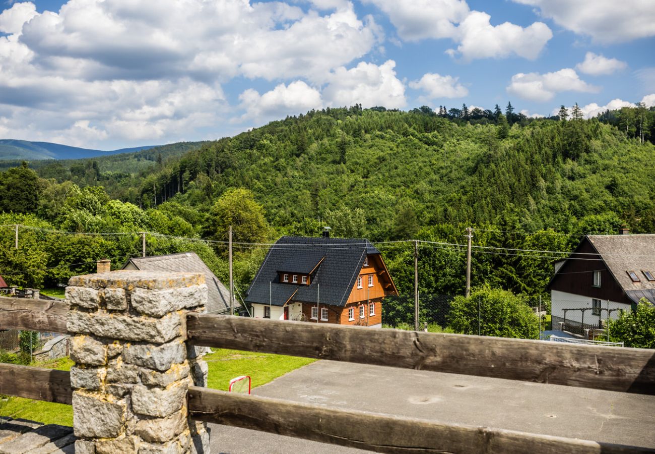 Villa in Branná - MBK171