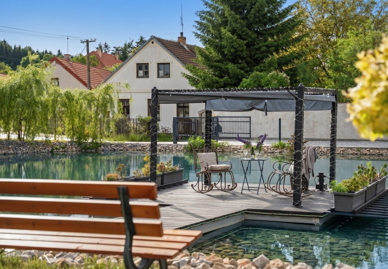 Villa in Pocátky - VPRO212