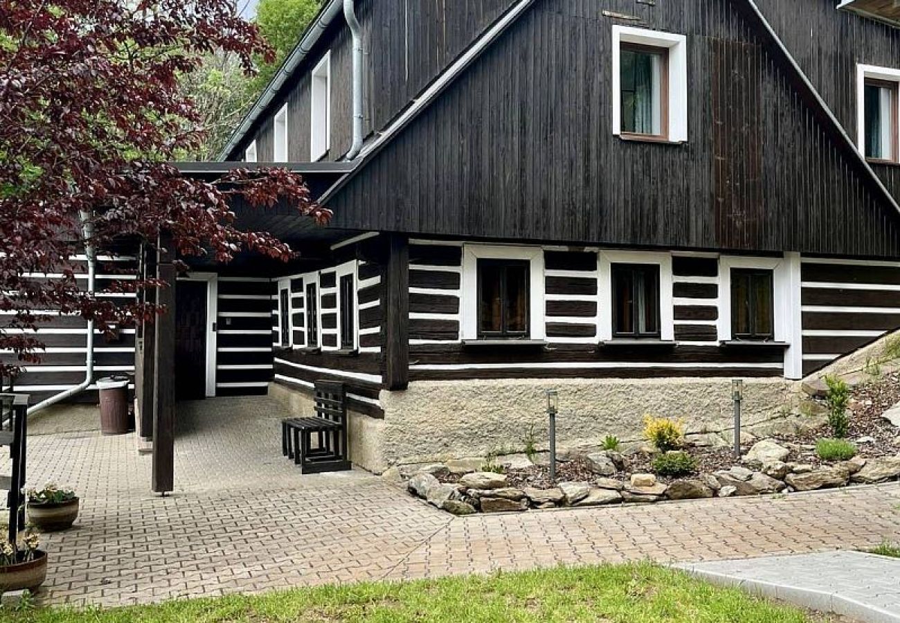 Villa in Benecko - Benecko LBS164