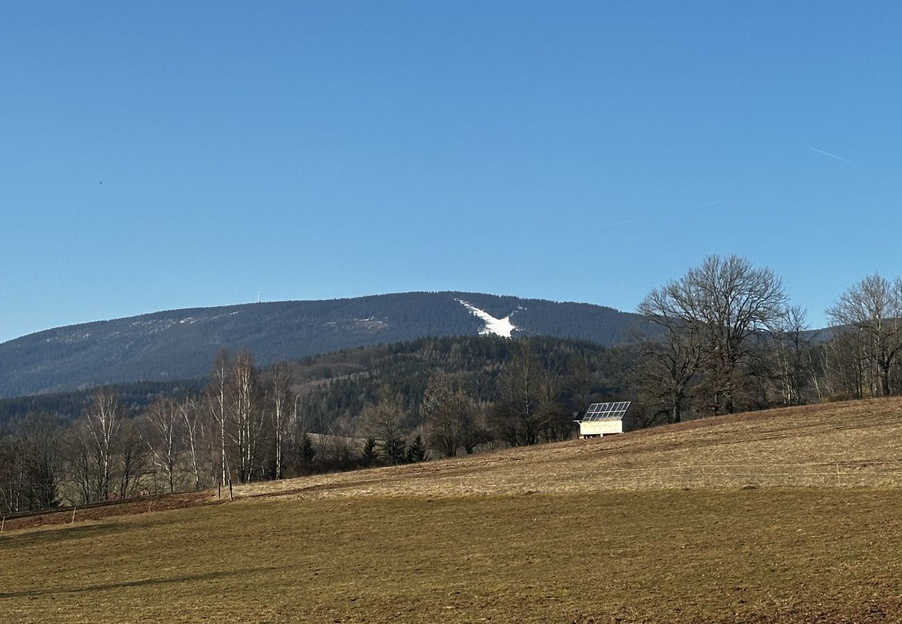 Villa à Mladé Buky - Villa mit Pool,  Skigebiete KJH348