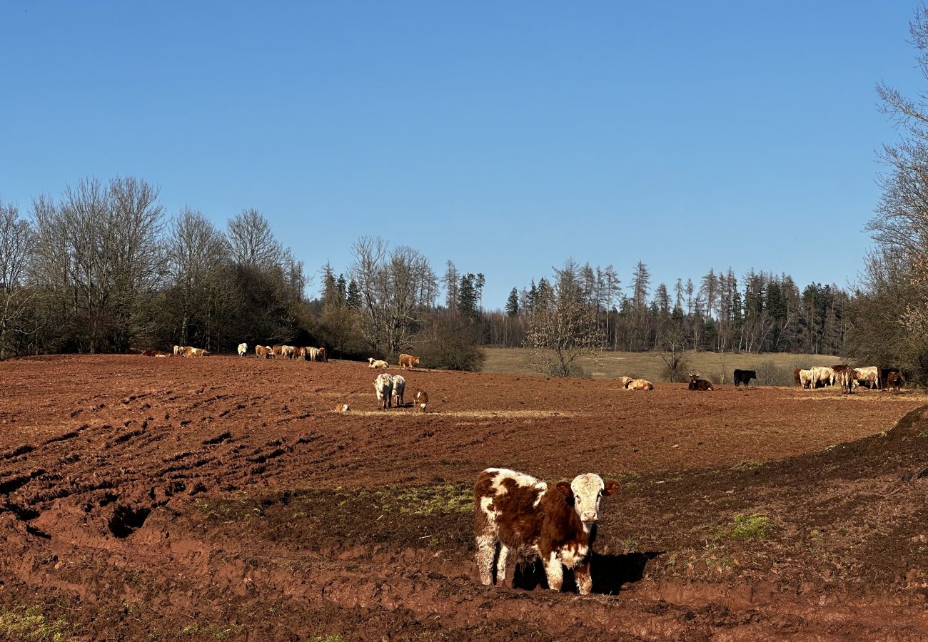 Villa à Mladé Buky - Villa mit Pool,  Skigebiete KJH348