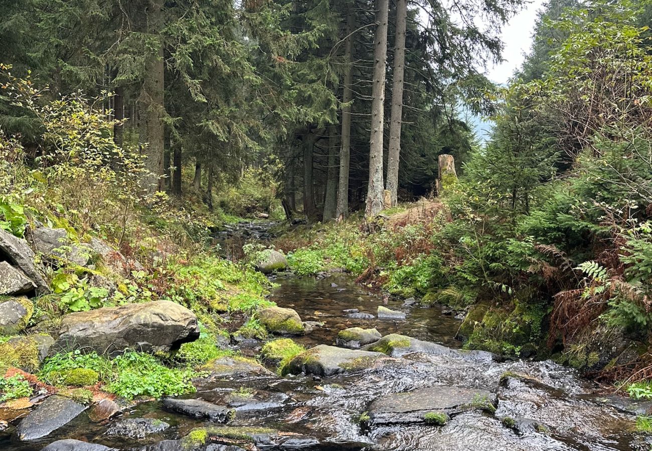 Villa à Mladé Buky - Villa mit Pool,  Skigebiete KJH348