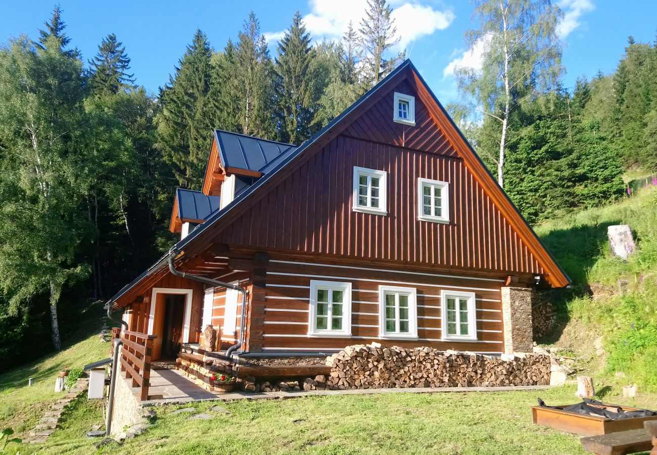 Villa à Rokytnice nad Jizerou - Rokytnice KRM450