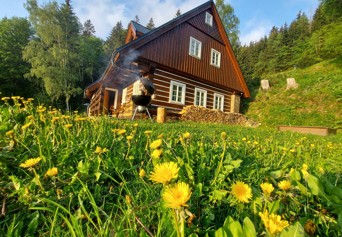 Villa à Rokytnice nad Jizerou - Rokytnice KRM450