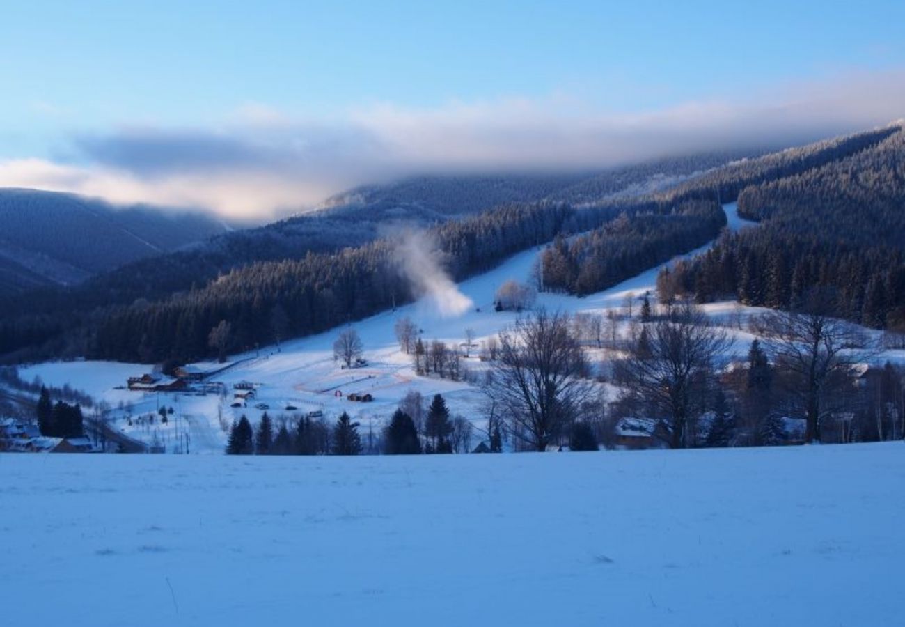 Villa à Belá pod Pradedem - Roubenka Jeseník MFK080