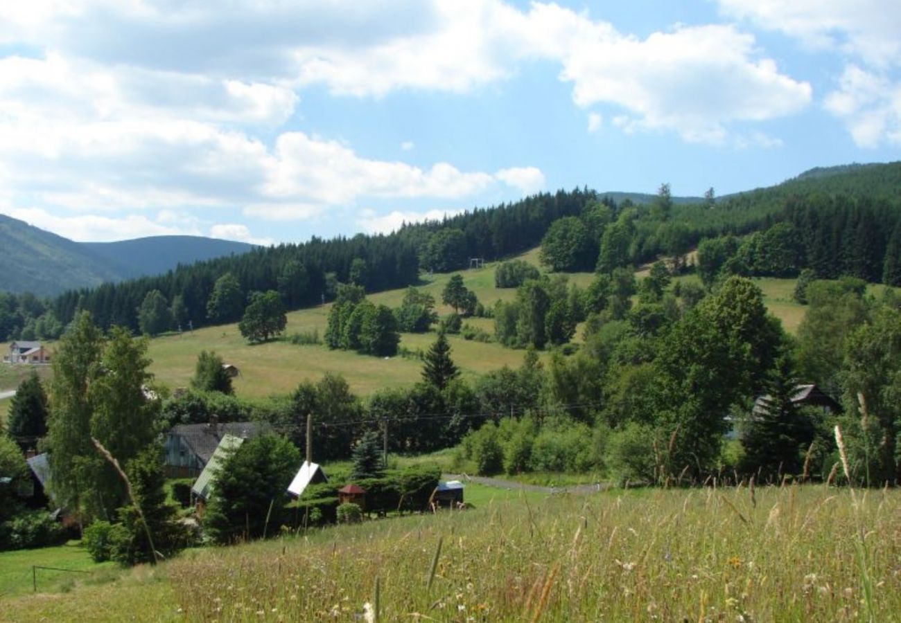 Villa à Belá pod Pradedem - Roubenka Jeseník MFK080