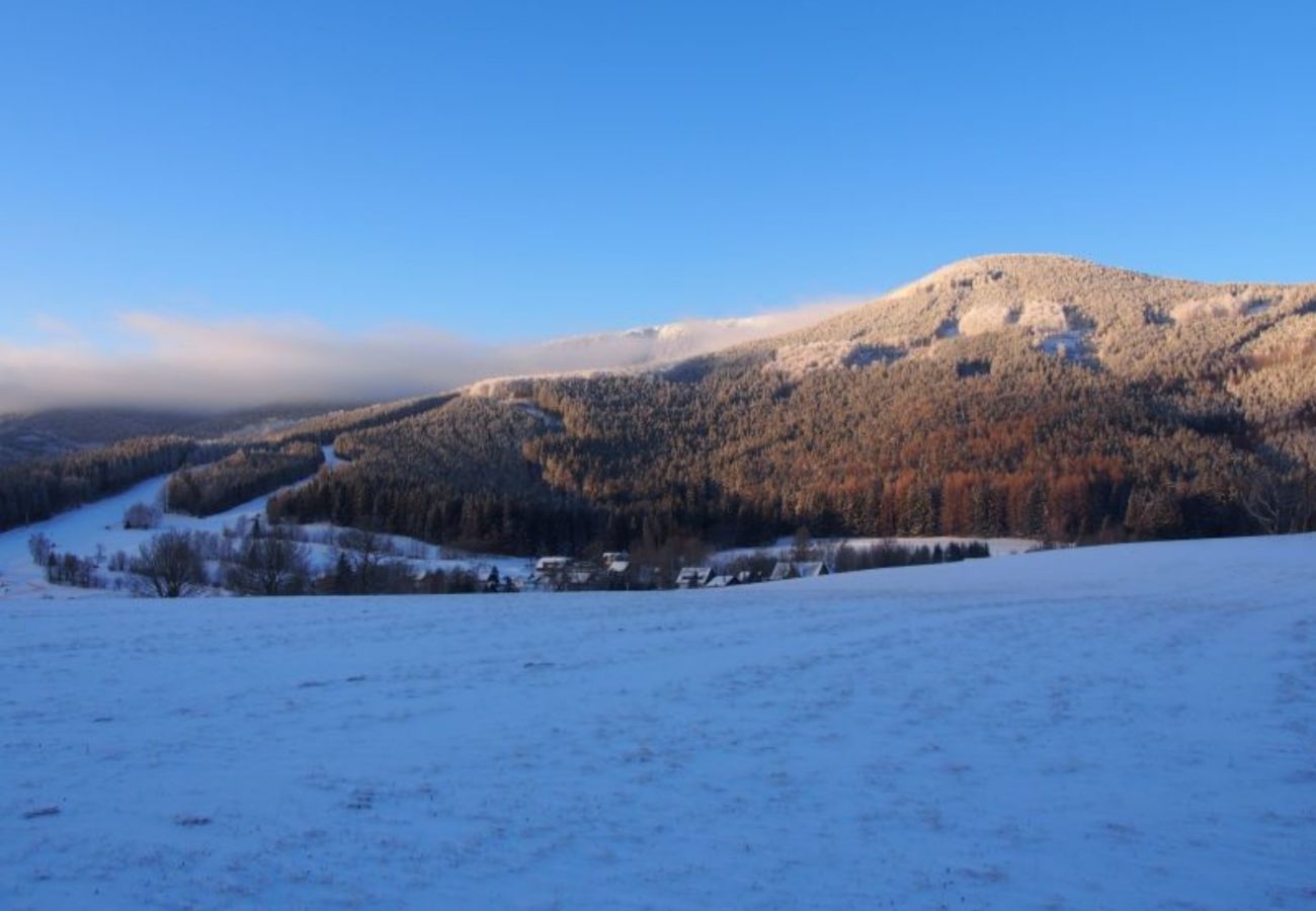 Villa à Belá pod Pradedem - Roubenka Jeseník MFK080