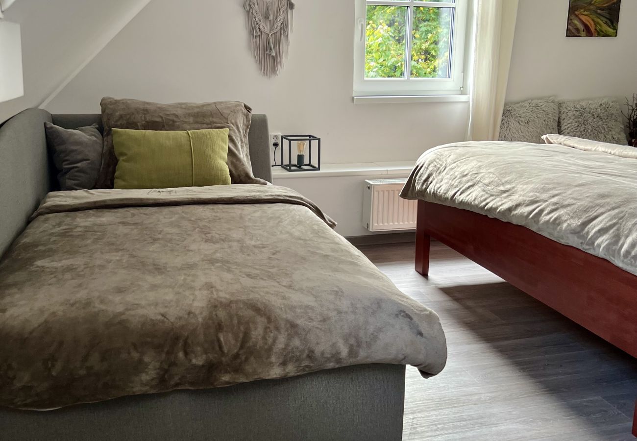 Villa à Tanvald - Tanvald LSH141