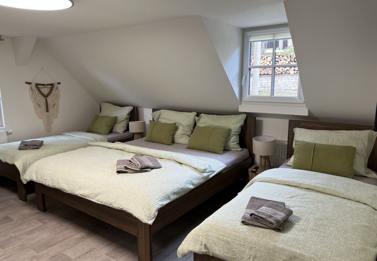 Villa à Tanvald - Tanvald LSH141