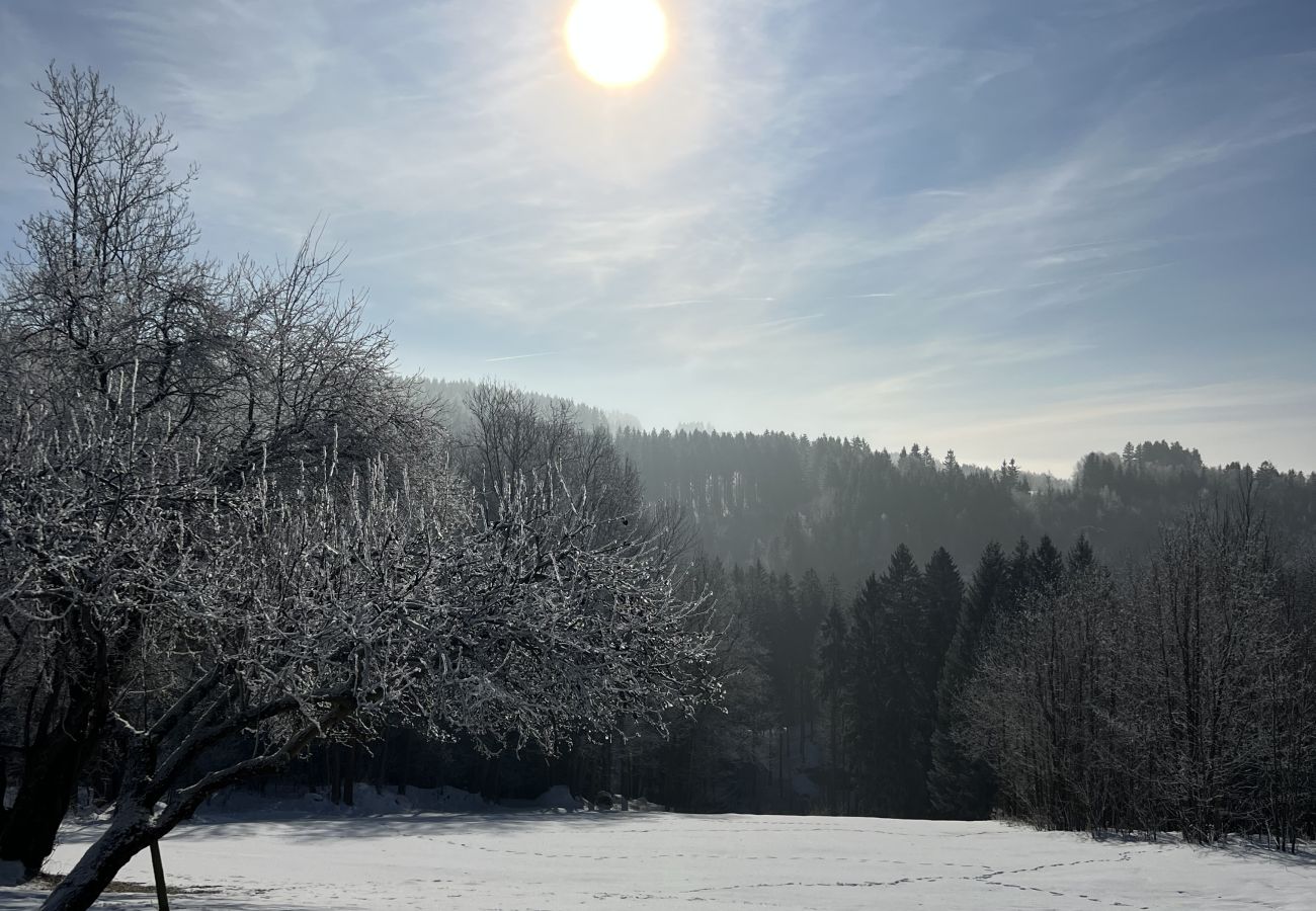 Villa à Tanvald - Tanvald LSH141