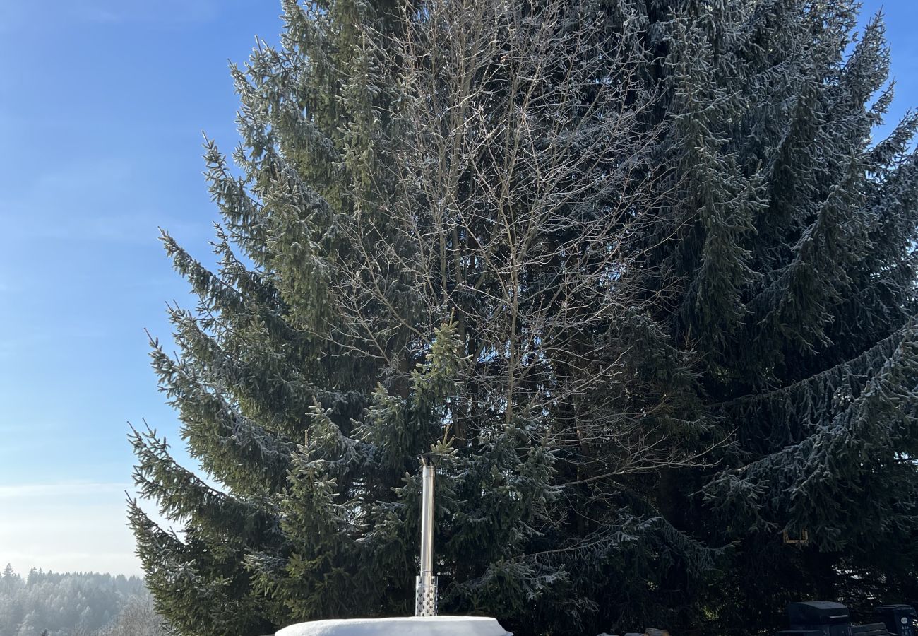 Villa à Tanvald - Tanvald LSH141