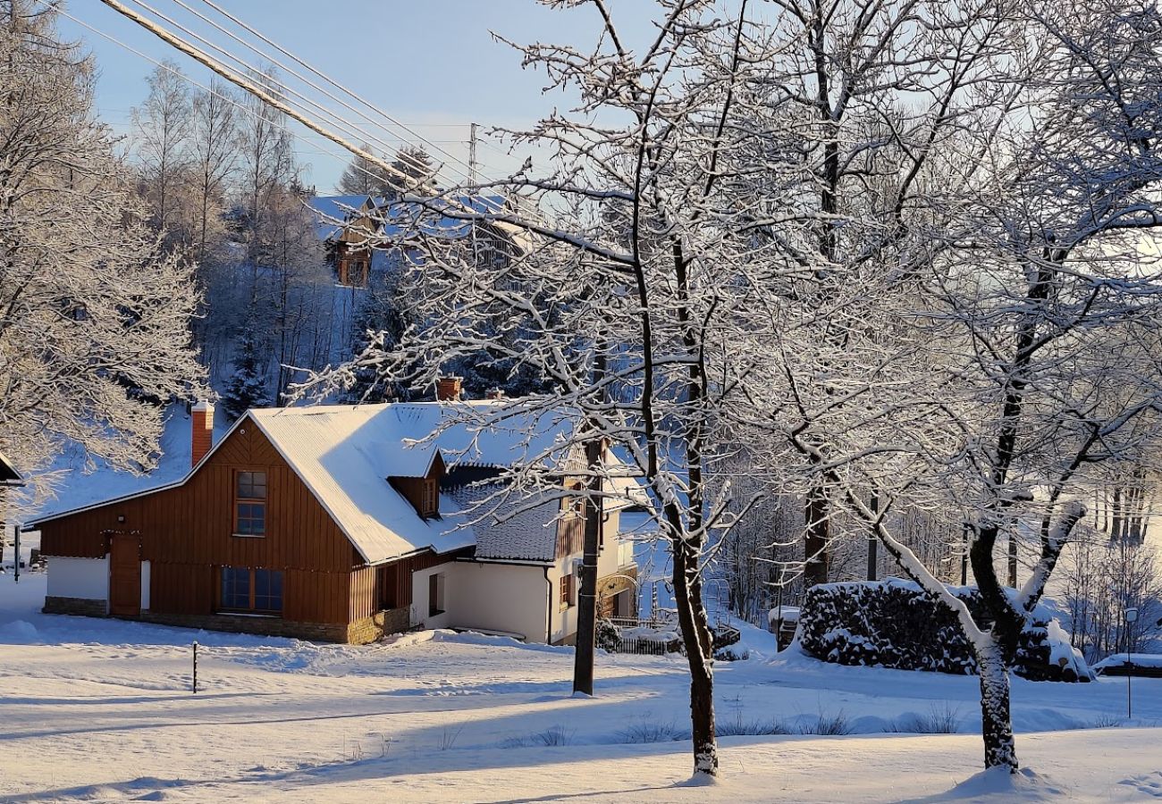 Appartement à Vysoké nad Jizerou - Vysoke nad Jizerou KDS007