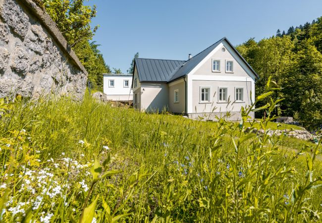 villa à Desná - Villa met sauna LDD032