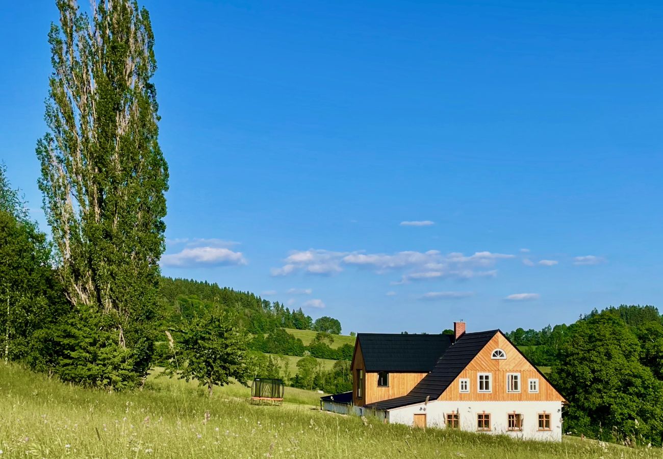 Villa à Víchová nad Jizerou - Víchová nad Jizerou LVV033