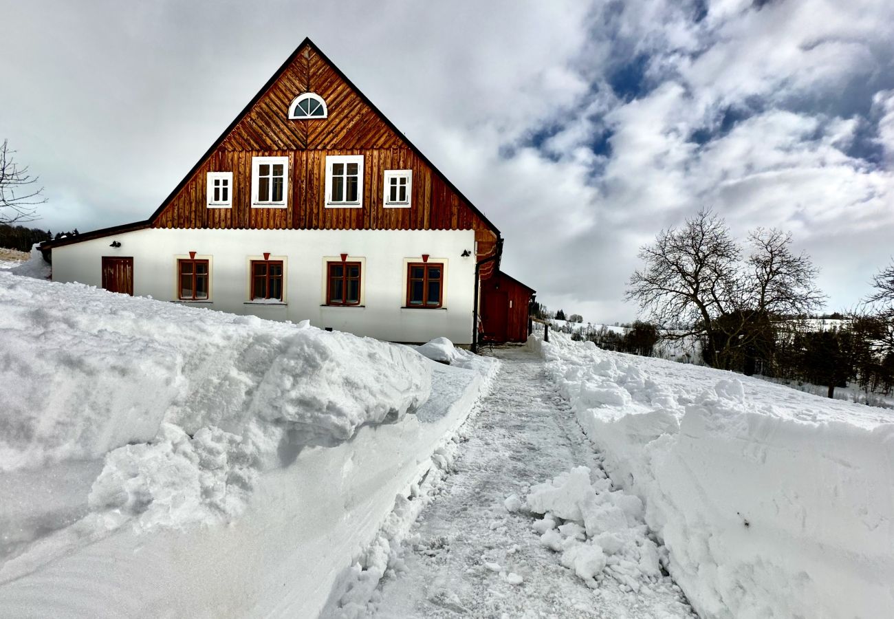 Villa à Víchová nad Jizerou - Víchová nad Jizerou LVV033